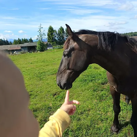 Zogata Apartman Stare Bystre