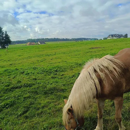 Zogata Apartman Stare Bystre