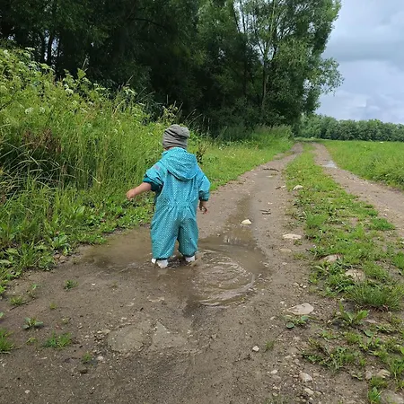 Zogata * Stare Bystre