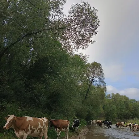 Zogata Apartman Stare Bystre