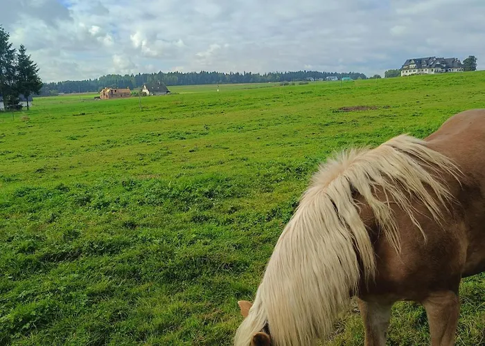 Zogata Apartamento Stare Bystre