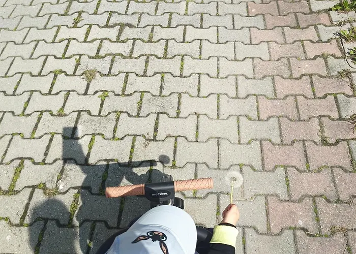 Zogata Apartamento Stare Bystre